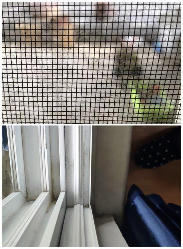 住了几年的房子怎么自己大扫除,住了很久的房子怎么收拾