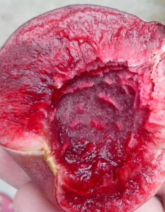 含铁高的水果蔬菜排行榜,什么水果含铁多补血效果好