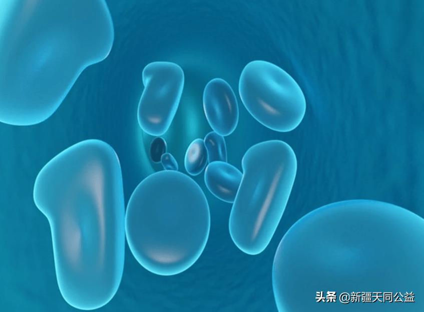 艾滋病研究新突破精英控制者,艾滋病的精英控制者