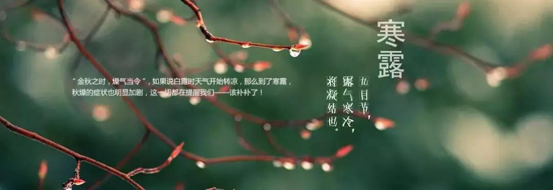 溪地假日酒店,溪地酒店