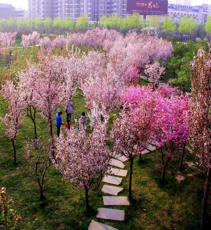 咸阳拟新增4家国家3A级景区,咸阳星级旅游景点