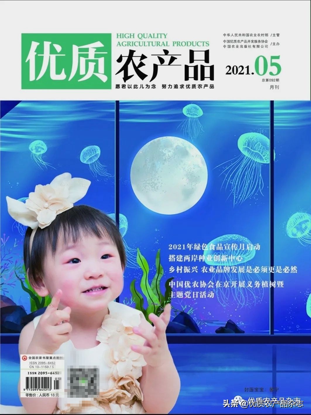 种大蒜机械化,大蒜全程机械化种植