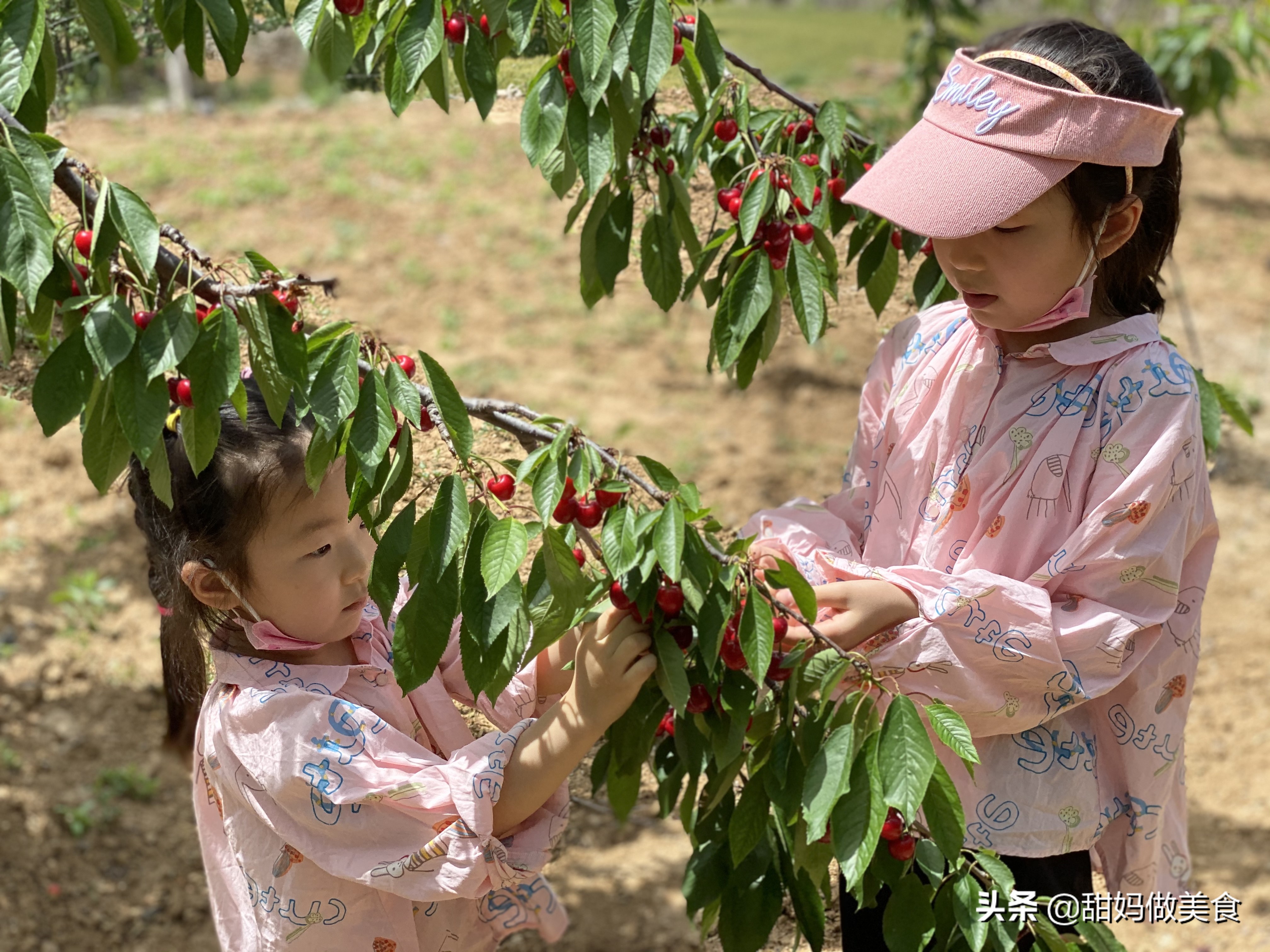 5月采摘季可别忘了它，铁含量是苹果的20倍，营养不比车厘子差