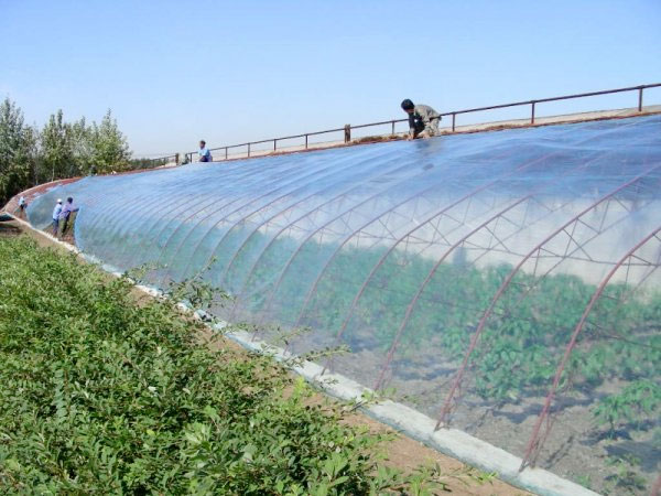 农膜排行榜,农膜用什么材料最好