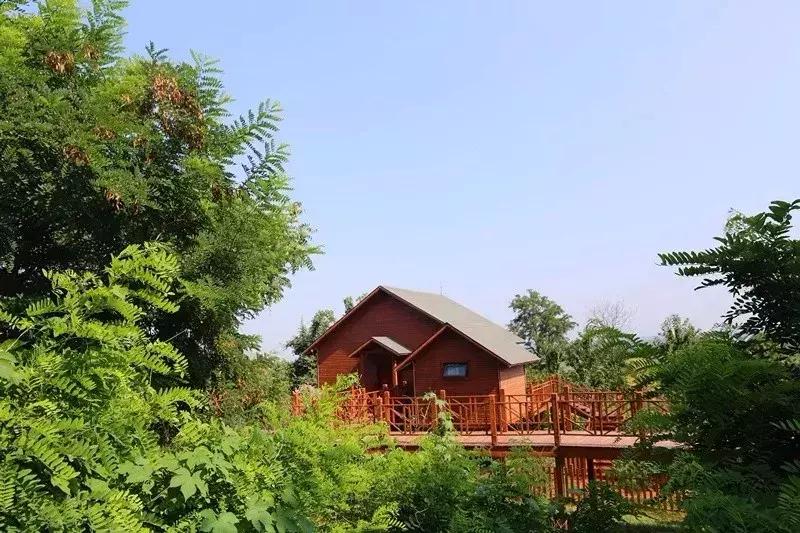 桥南镇在古代叫什么,桥南镇地理位置