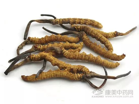 周评：小品种活跃，大品种整体小范围震荡