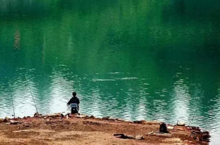 野外钓鱼怎样快速找到鱼窝鱼道,野外钓鱼如何选择窝料