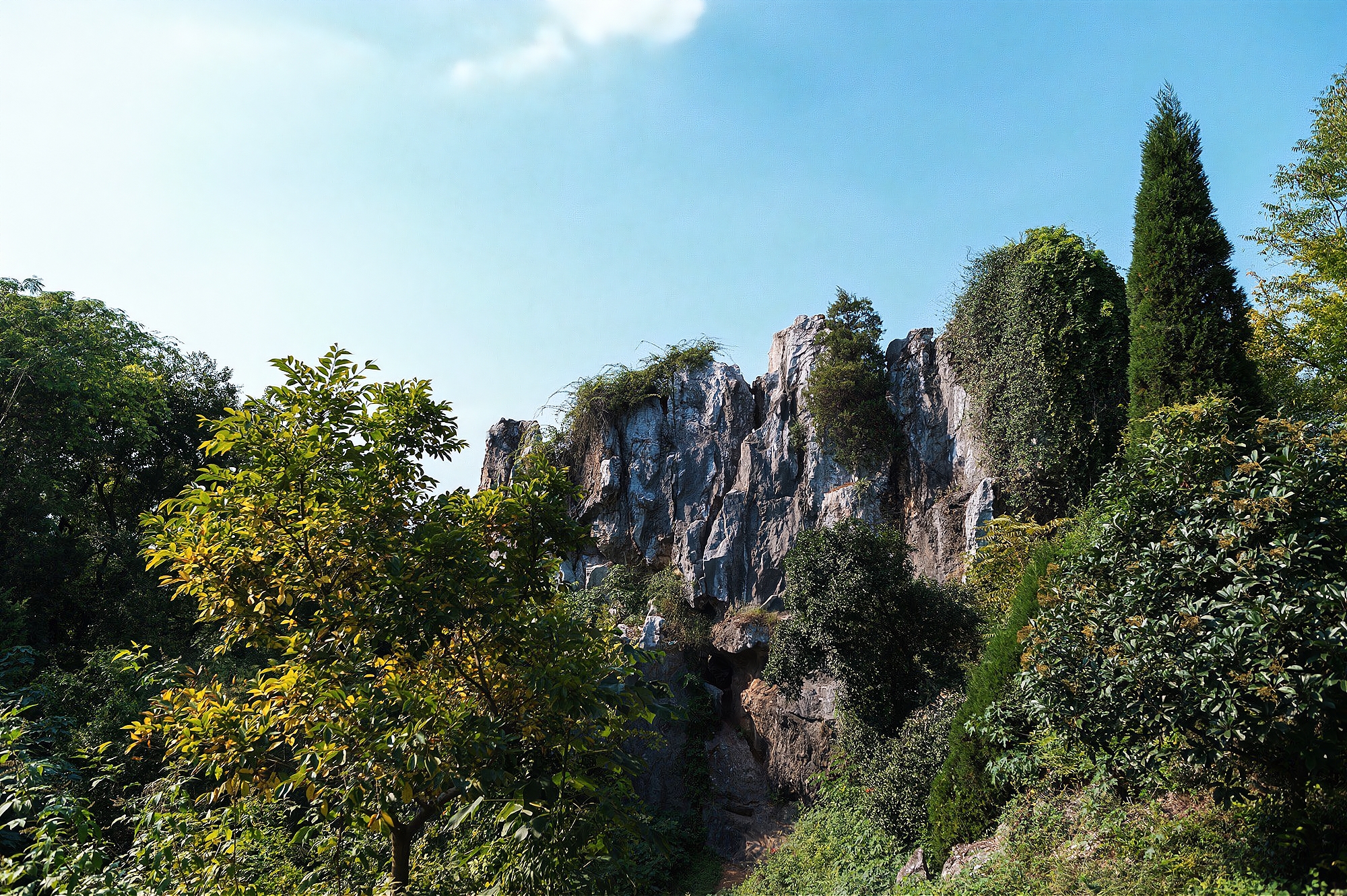 苏州太湖中像蟠桃的小岛,苏州太湖边隐藏着一个世外桃源
