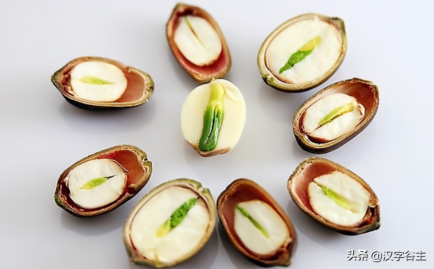 汉字植物课：大语文这样学，把与荷花有关知识及字词诗文一网打尽