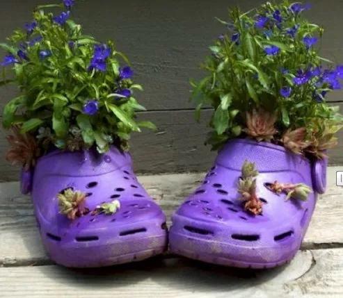 这些废品不要扔都是养花的宝贝,不要的洞洞鞋