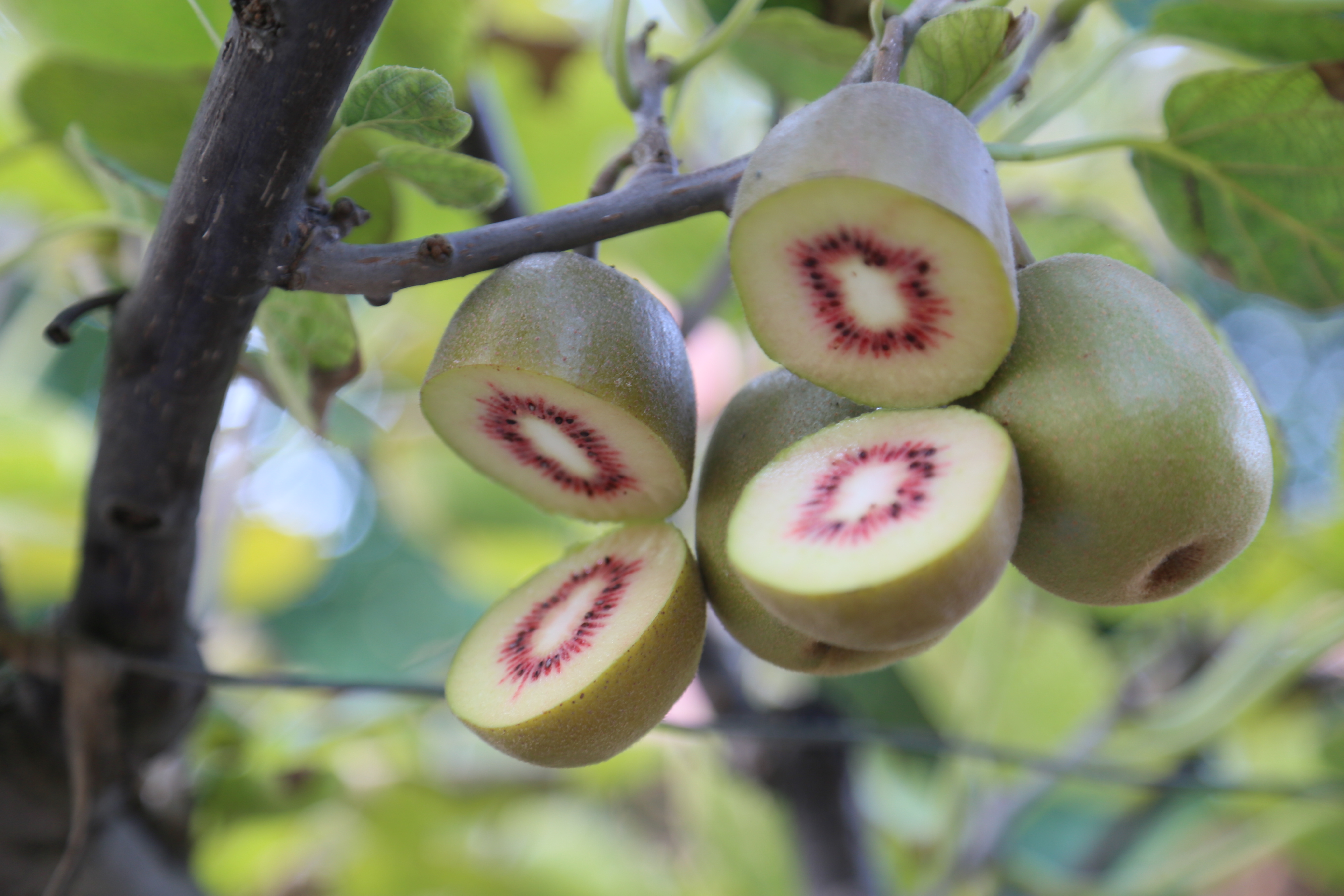 眉坞秋天的第一场盛会，向您发出邀请→