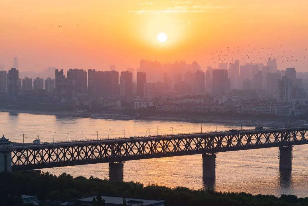 一入武汉热血腾,从此爱上这座城