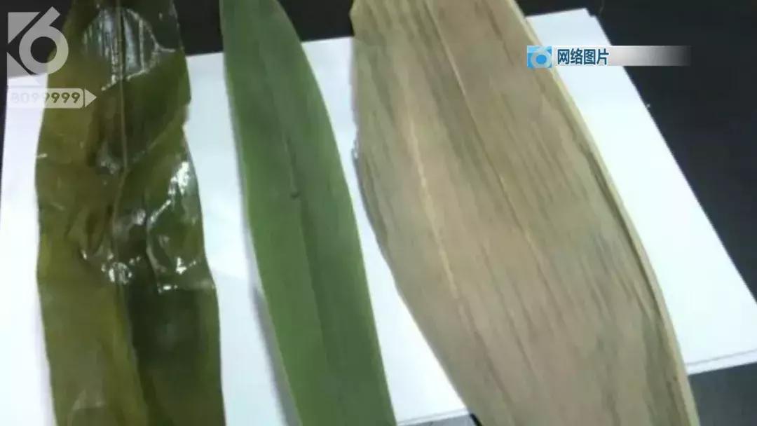 吓的我粽子都掉了!网传化学干粽叶“回春”*法大**绿油油的“回春”粽叶有毒