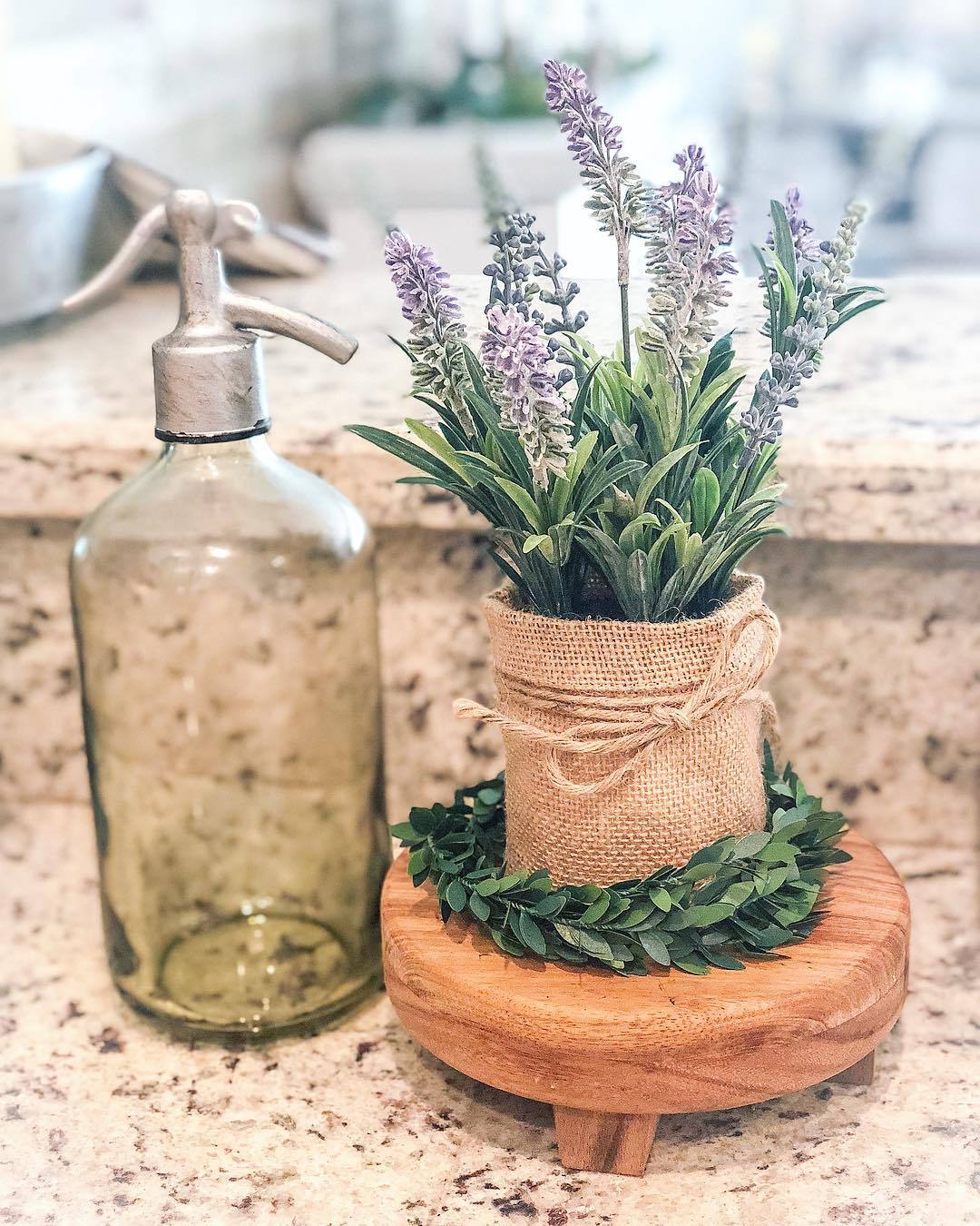 宝藏植物,植物薰衣草