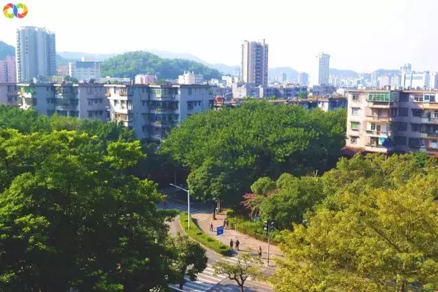 从平安路到桃园路的旧街，独属于老香洲的记忆