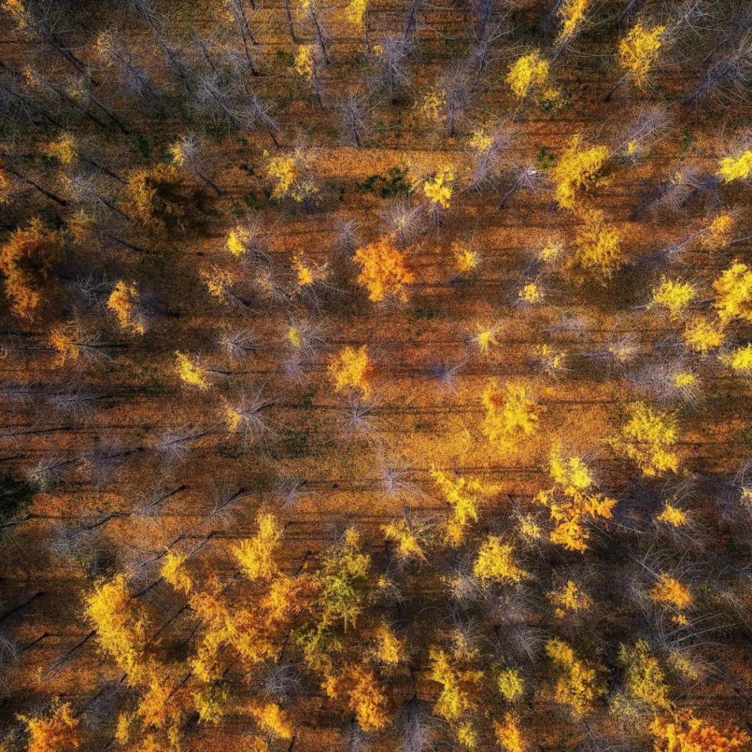 传奇徐州,无问南北