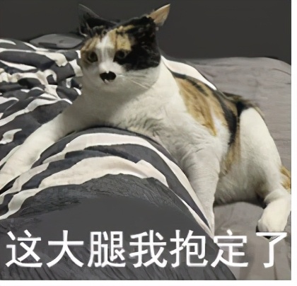 美国奥运会冠军最多的大学,美国奥运奖牌最多的大学