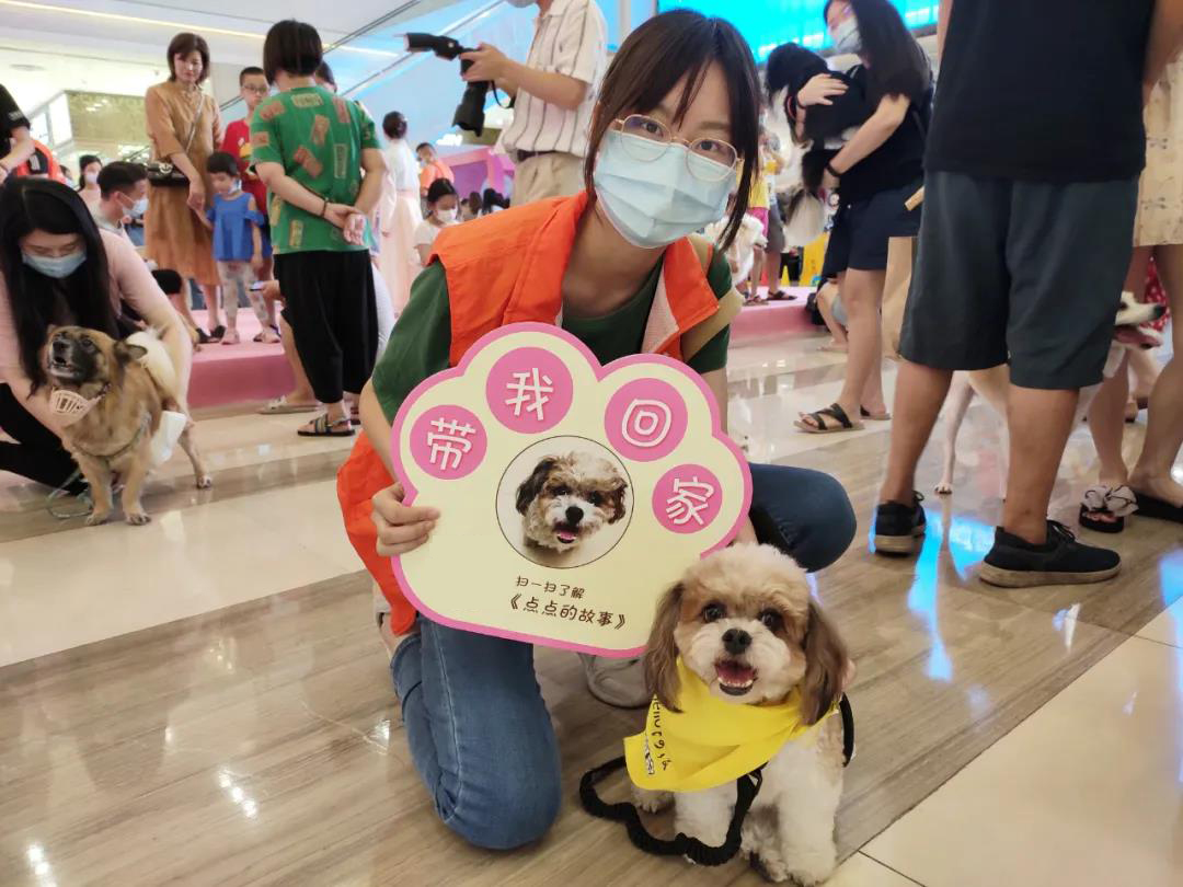 CPF活动预告|阿派第30届领养日——人间值得,只要它能与你相遇