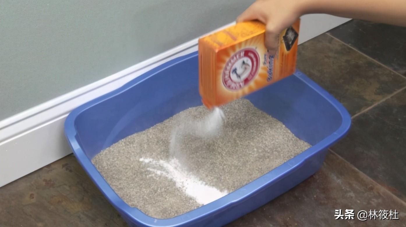 日常生活中的小苏打,最新生活小窍门小苏打