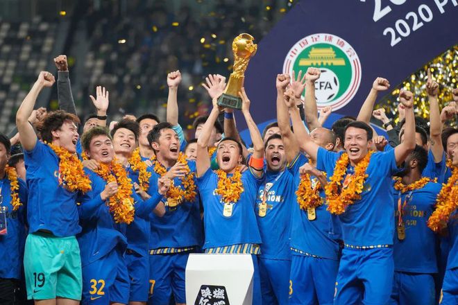 苏宁已开票,苏宁go