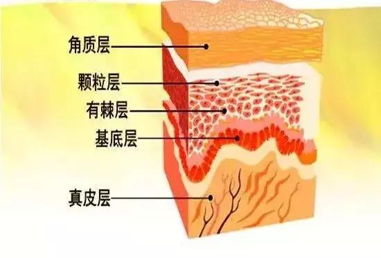 安瓶肌底液和精华的区别,肌底液原液精华三者的区别