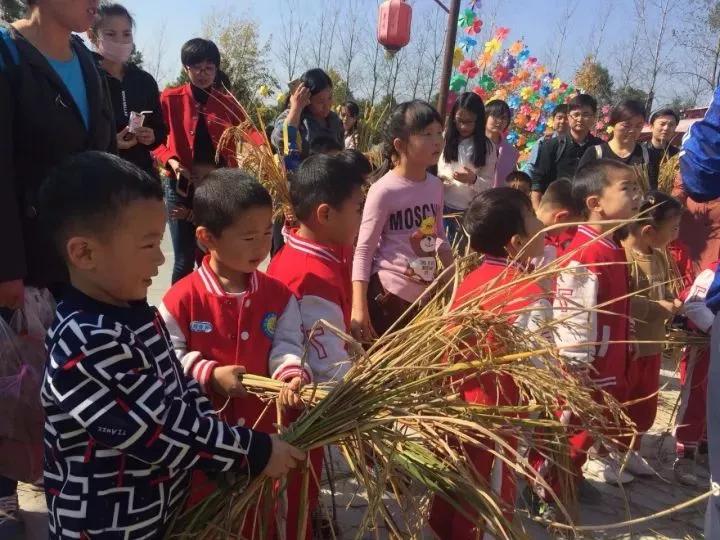 读道分享｜只有120亩的庄园，依靠自然+营地教育，每年游客超十万