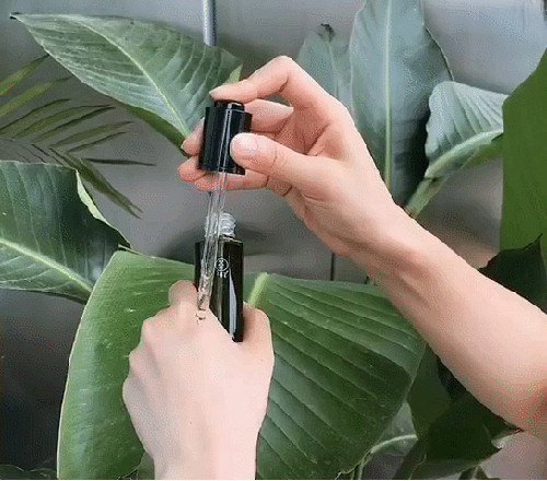 适合40多岁春夏平价精华推荐,春夏适合用的高端精华