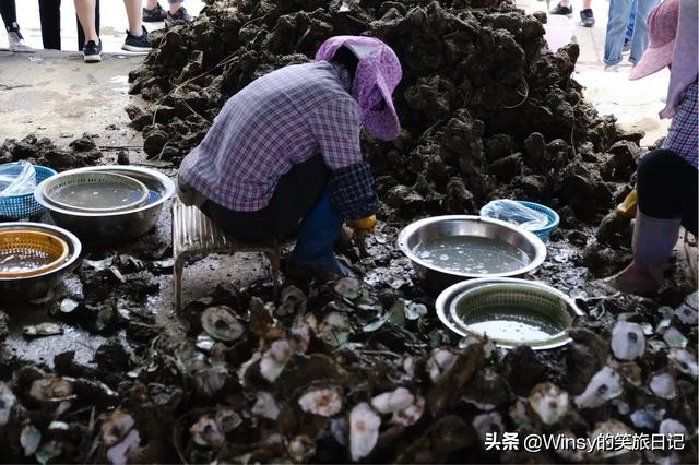 广州自驾江门台山旅游线路,江门上川岛自驾攻略