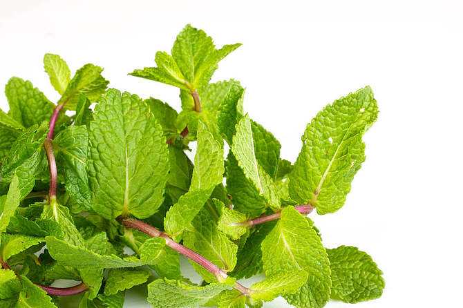 心火胃火旺吃薄荷泡水喝降火吗,天干喉咙疼吃什么能去火