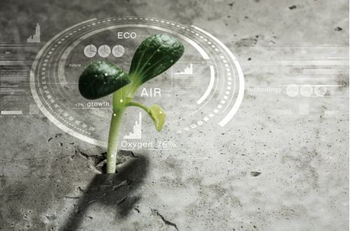 北大荒农业最新消息,北大荒农业最新新闻