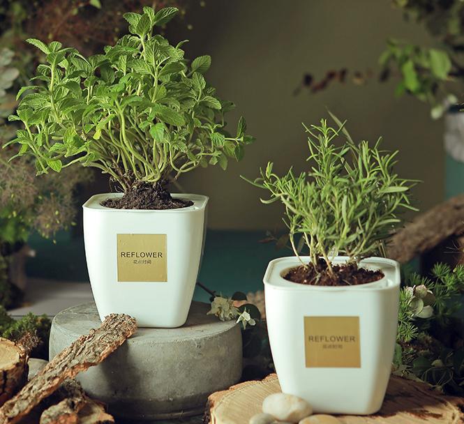 给大家推荐一个宝藏店铺,最省钱的宝藏店铺