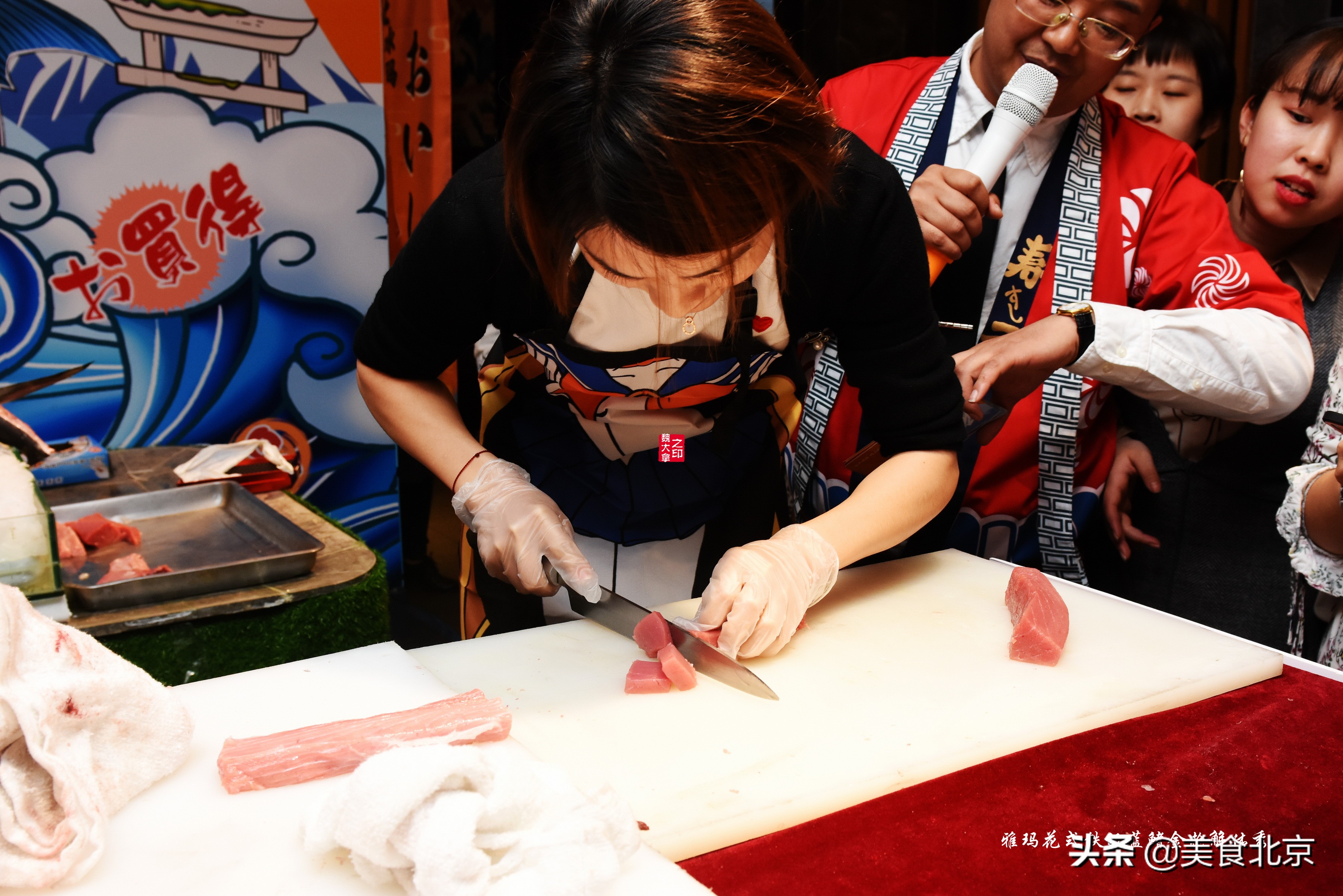 蓝鳍金枪鱼开鱼秀,深海捕蓝鳍金枪鱼