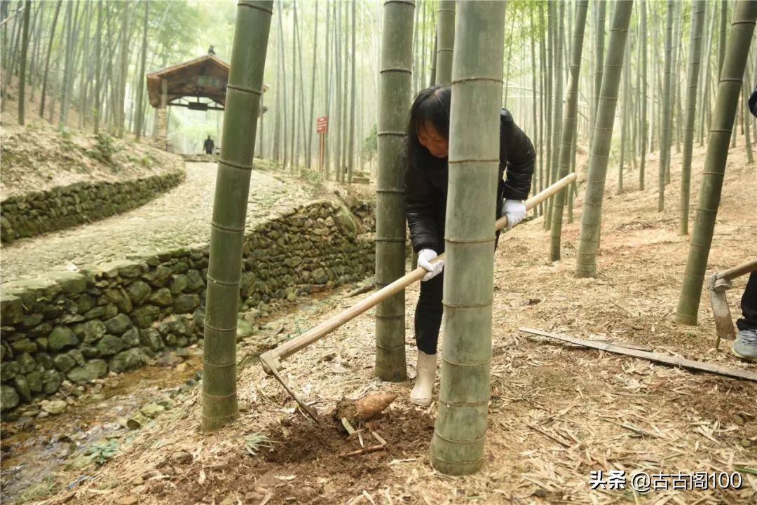 萧绍古道在哪里,萧绍古道古纤道