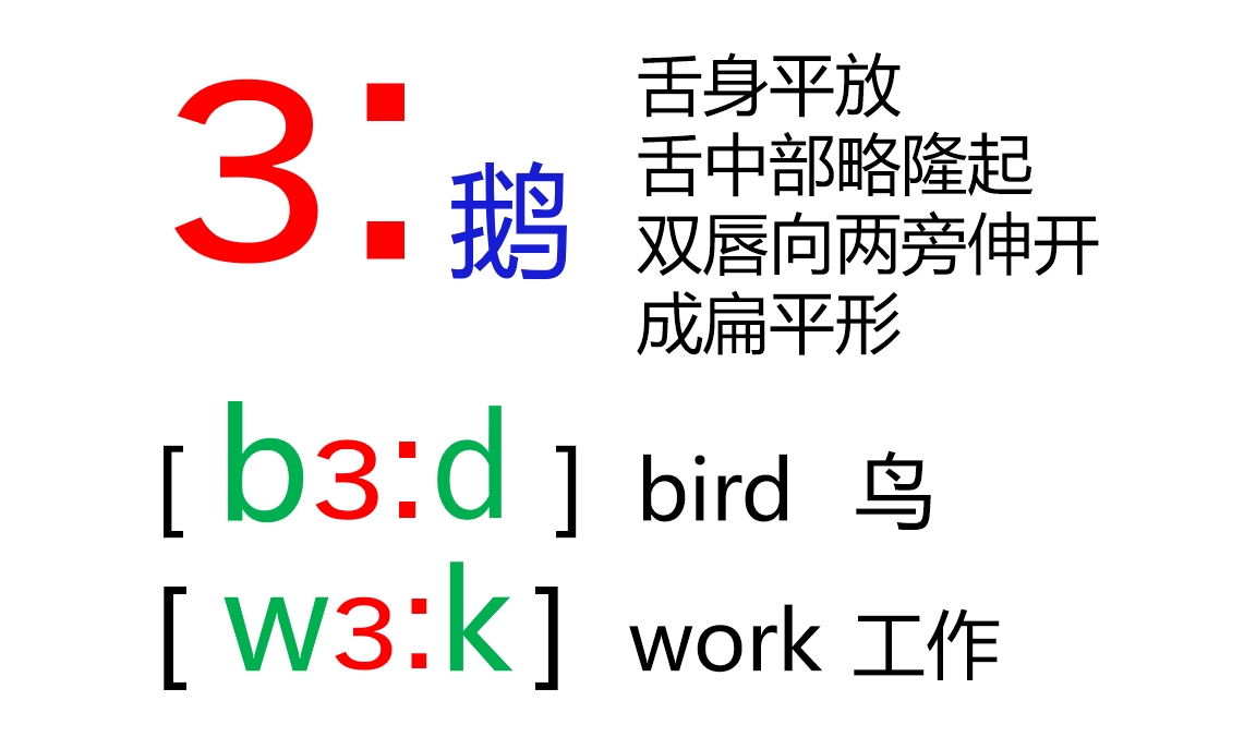 48张国际音标卡片大号,音标48个卡片
