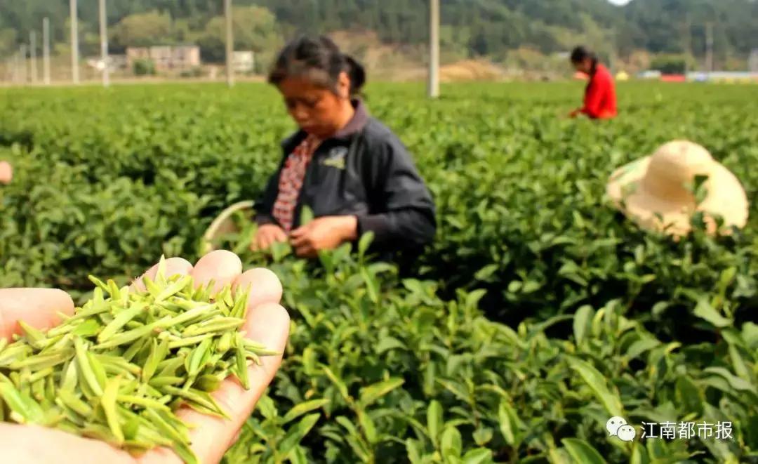 江西5地拟入选国家级名单,江西8地入选全国示范