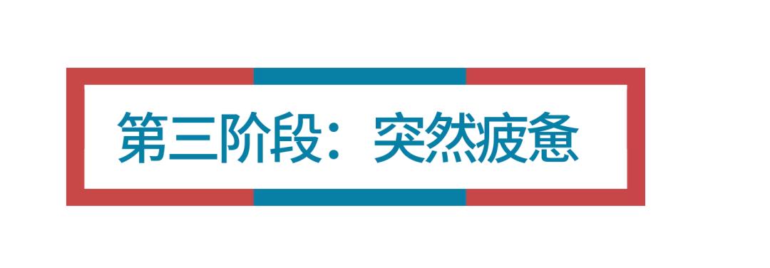 开服15天,我玩《动物森友会》总结的39条教训