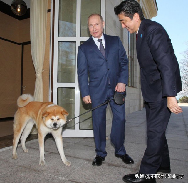 被宠物咬伤后要不要打免疫球蛋白,被宠物咬伤怎么办图片