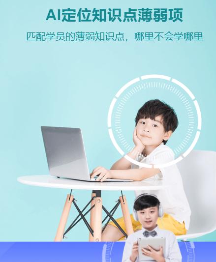 对松鼠ai的评价,松鼠ai还能生存下去么