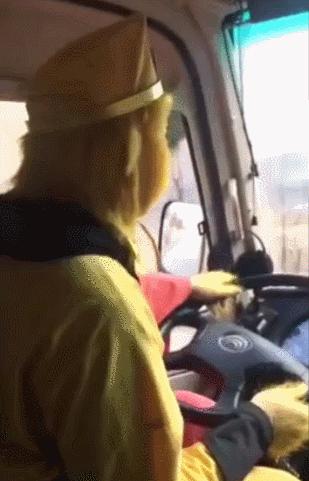 空姐的直播工作日常,空姐直播日常