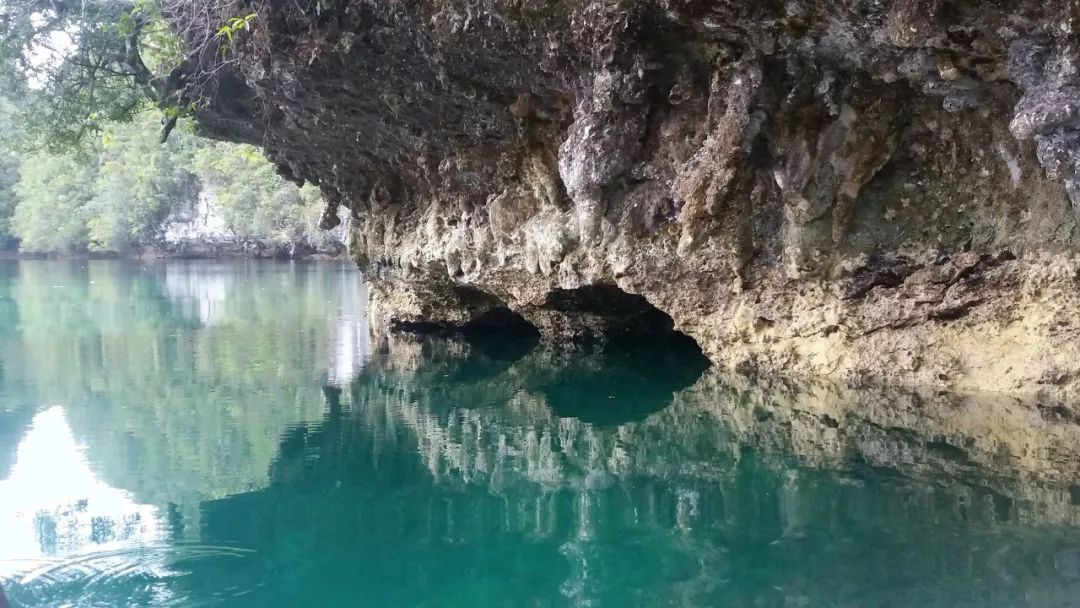 去宿雾攻略,宿雾旅行攻略