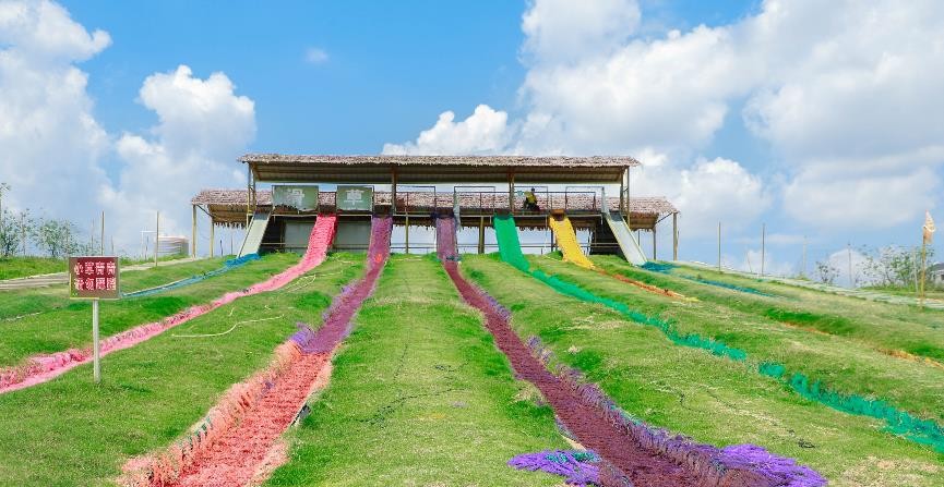 罕步教育2021年虎英小学203班亲子春游活动｜阳光行快乐游