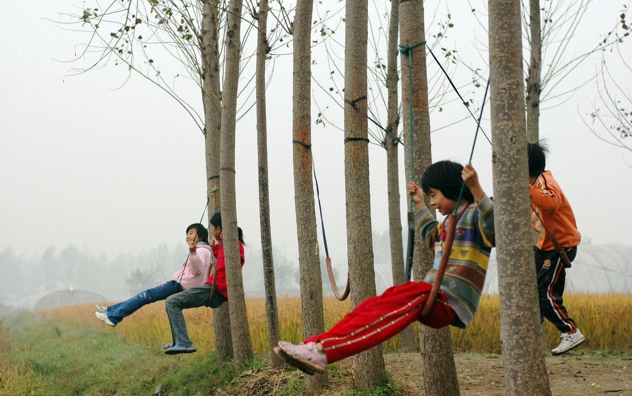 玉米疯了：东北、华北玉米深加工企业再次大范围上调收购价格