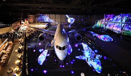 名古屋中部机场购物攻略,名古屋新特利亚机场