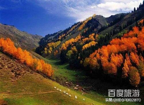 新疆阜康市天山天池,天山天池景区