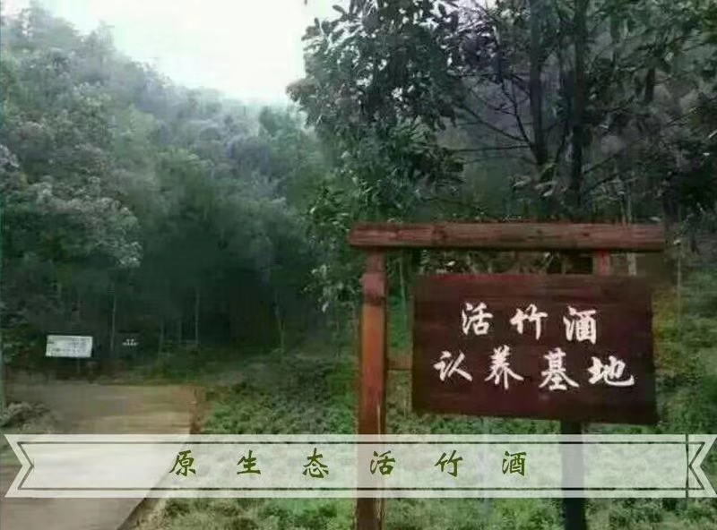 绿韵泉竹酒图片,绿韵泉竹酒是什么酒