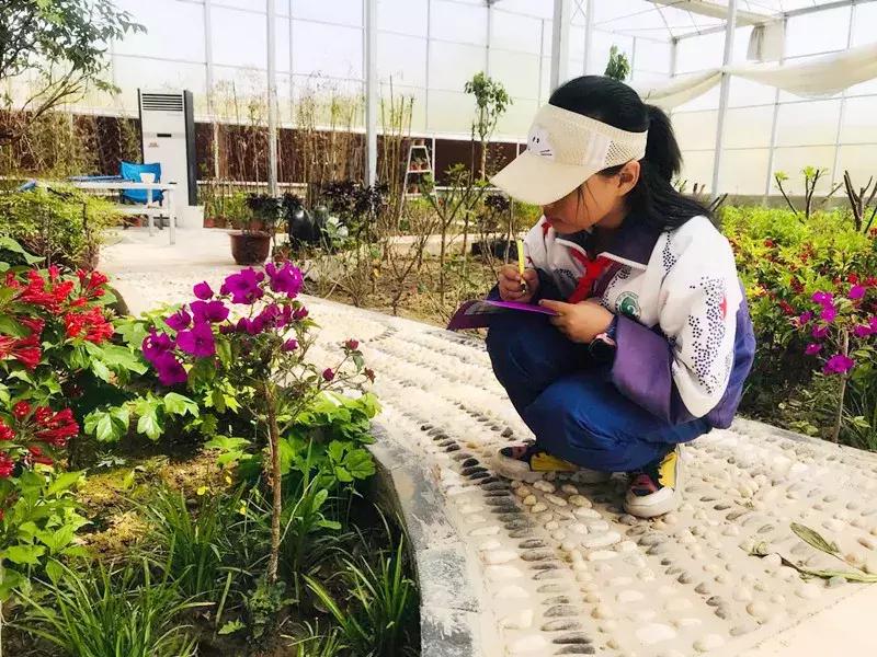 【益西户外营地教育】金川第六小学野狐湾自然研学营圆满结束！