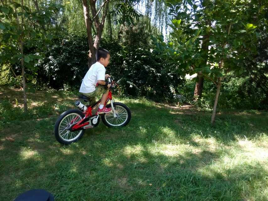 优贝故事开场曲,关于优贝的故事简短