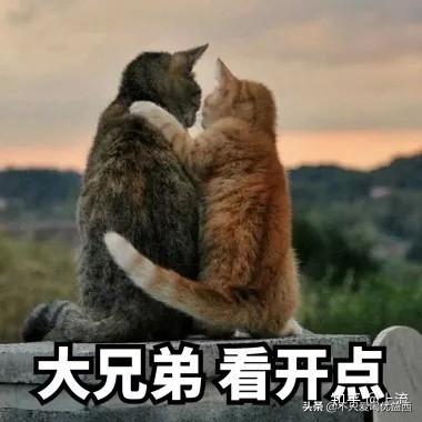 安徽为什么就两个三线城市,安徽为什么会分三个区域