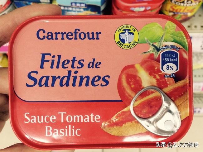 沙丁鱼长什么样图片大全,沙丁鱼是长什么样的呢