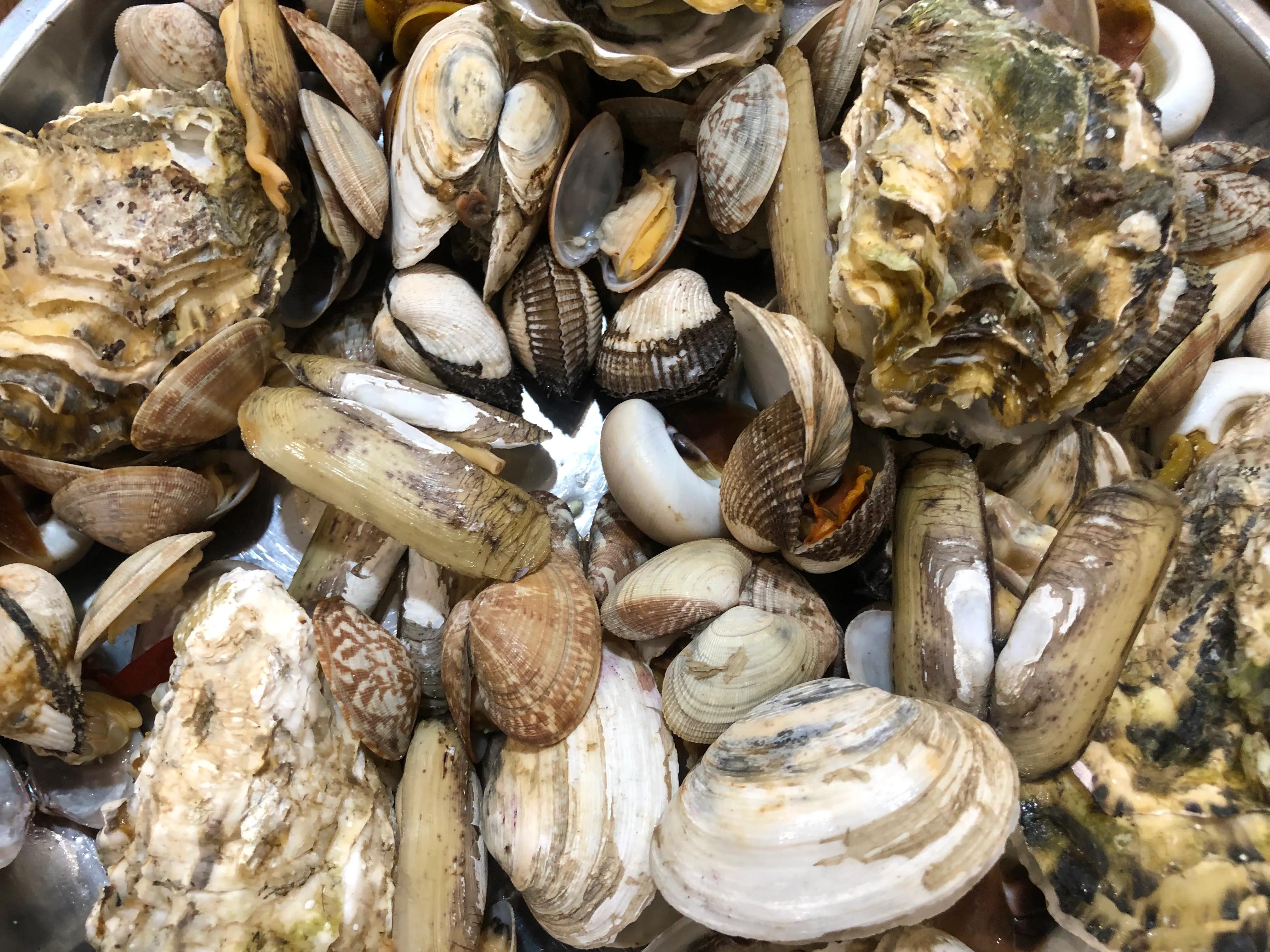 在山东有一种炫富叫开海,有种炫富叫青岛开海了